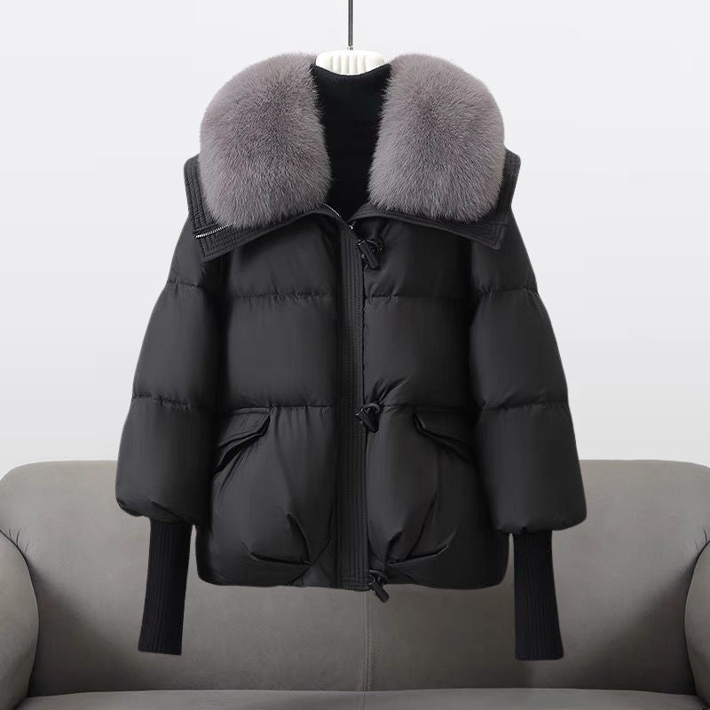 Unisex Winter-Windbreakerjacke: warm, wasserabweisend & winddicht. Ideal als leichte Outdoor- oder Reisejacke.