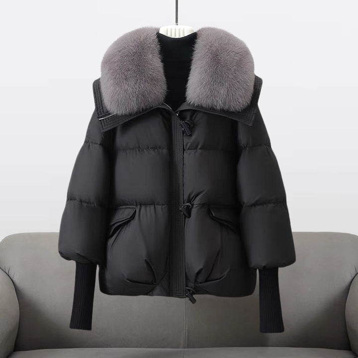 Unisex Winter-Windbreakerjacke: warm, wasserabweisend & winddicht. Ideal als leichte Outdoor- oder Reisejacke.