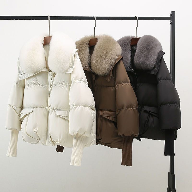 Unisex Winter-Windbreaker: warm, winddicht & wasserabweisend. Die perfekte sportliche Outdoor-Jacke für den Winter.