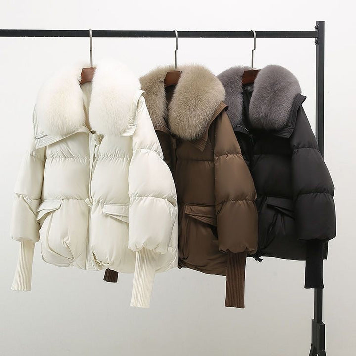 Unisex Winter-Windbreaker: warm, winddicht & wasserabweisend. Die perfekte sportliche Outdoor-Jacke für den Winter.