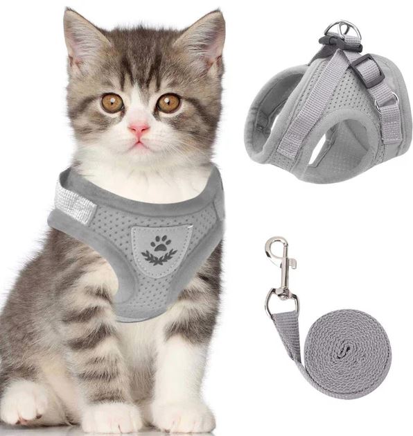 Atmungsaktives Katzenzubehör: leichtes Geschirr, verstellbar für optimalen Sitz und Komfort der Katze.