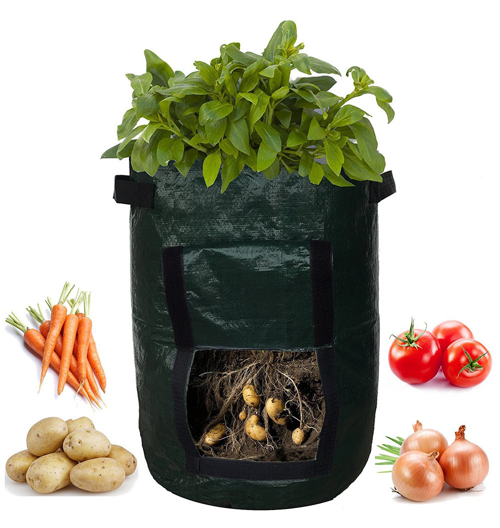 Wiederverwendbarer Pflanzsack für Kartoffeln mit Sichtfenster, ideal für Balkone, grün und atmungsaktiv für optimale Belüftun
