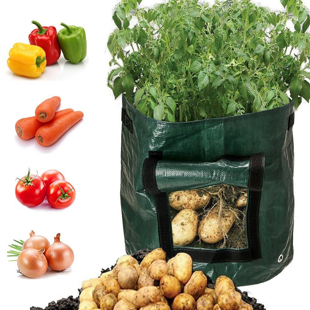 Wiederverwendbarer Pflanzsack für Kartoffeln mit Sichtfenster, ideal für Balkone, grün und atmungsaktiv für optimale Belüftun