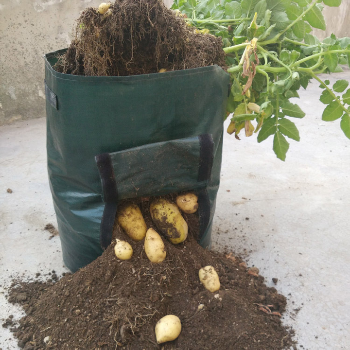 Wiederverwendbarer Pflanzsack für Kartoffeln mit Sichtfenster, ideal für Balkone, grün und atmungsaktiv für optimale Belüftun