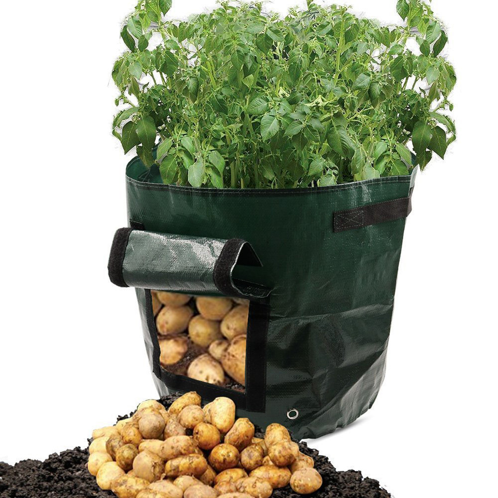 Wiederverwendbarer Pflanzsack für Kartoffeln mit Sichtfenster, ideal für Balkone, grün und atmungsaktiv für optimale Belüftun