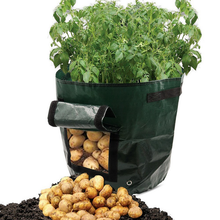 Wiederverwendbarer Pflanzsack für Kartoffeln mit Sichtfenster, ideal für Balkone, grün und atmungsaktiv für optimale Belüftun