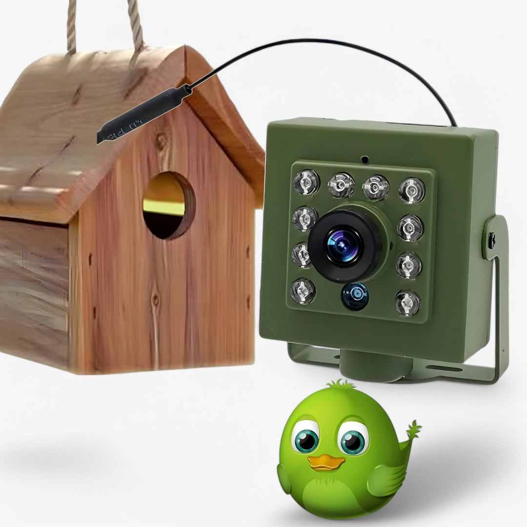 "WLAN-Kamera 1080p HD wetterfest, ideal für Vogelbeobachtung; robust, kompakt, mit Infrarot-Nachtsichtfunktion."
