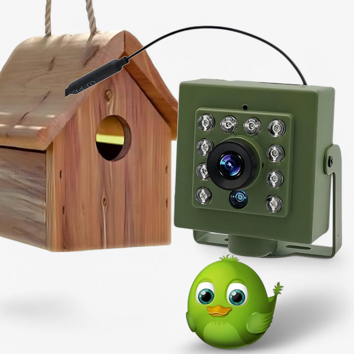 "WLAN-Kamera 1080p HD wetterfest, ideal für Vogelbeobachtung; robust, kompakt, mit Infrarot-Nachtsichtfunktion."